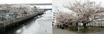 �������u���̍�